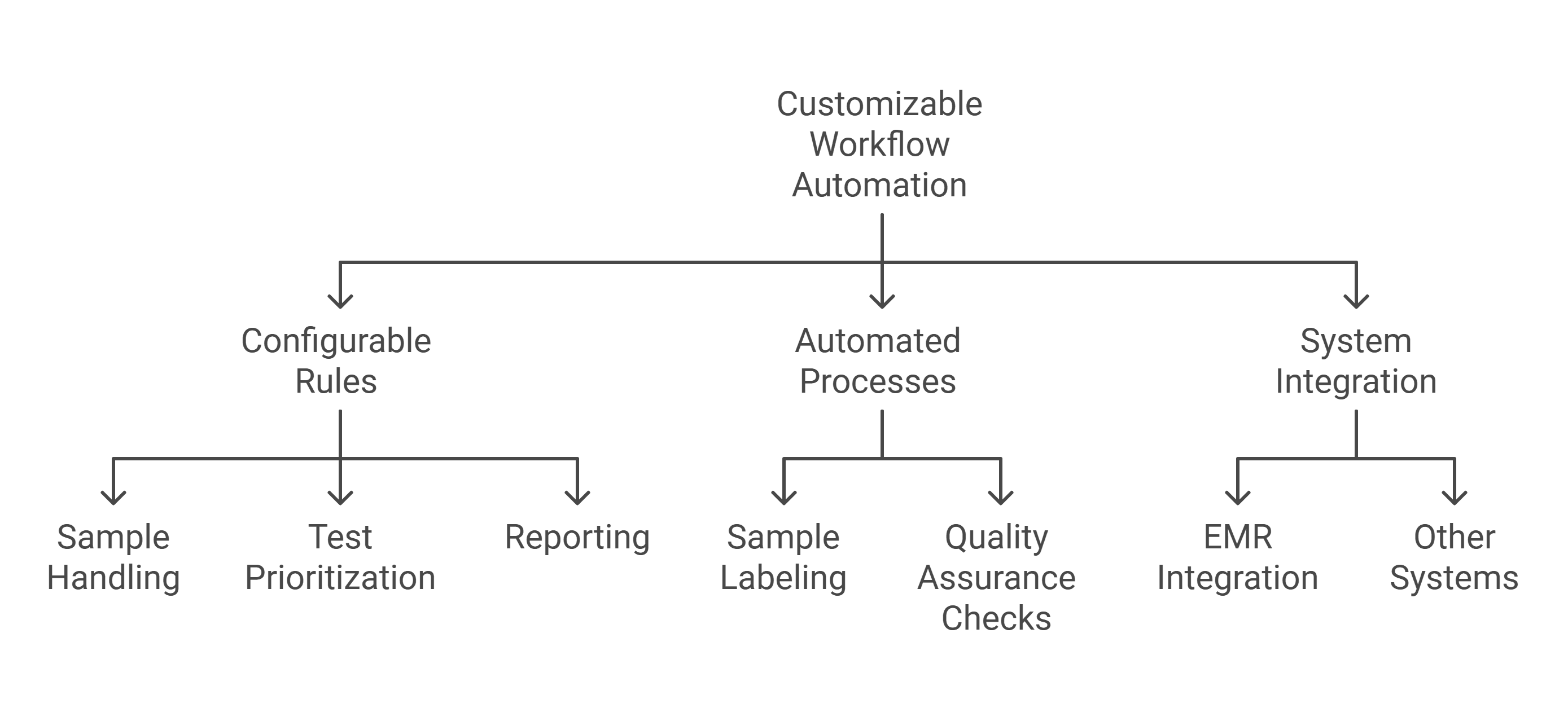 Customizable LIS Workflow Automation System