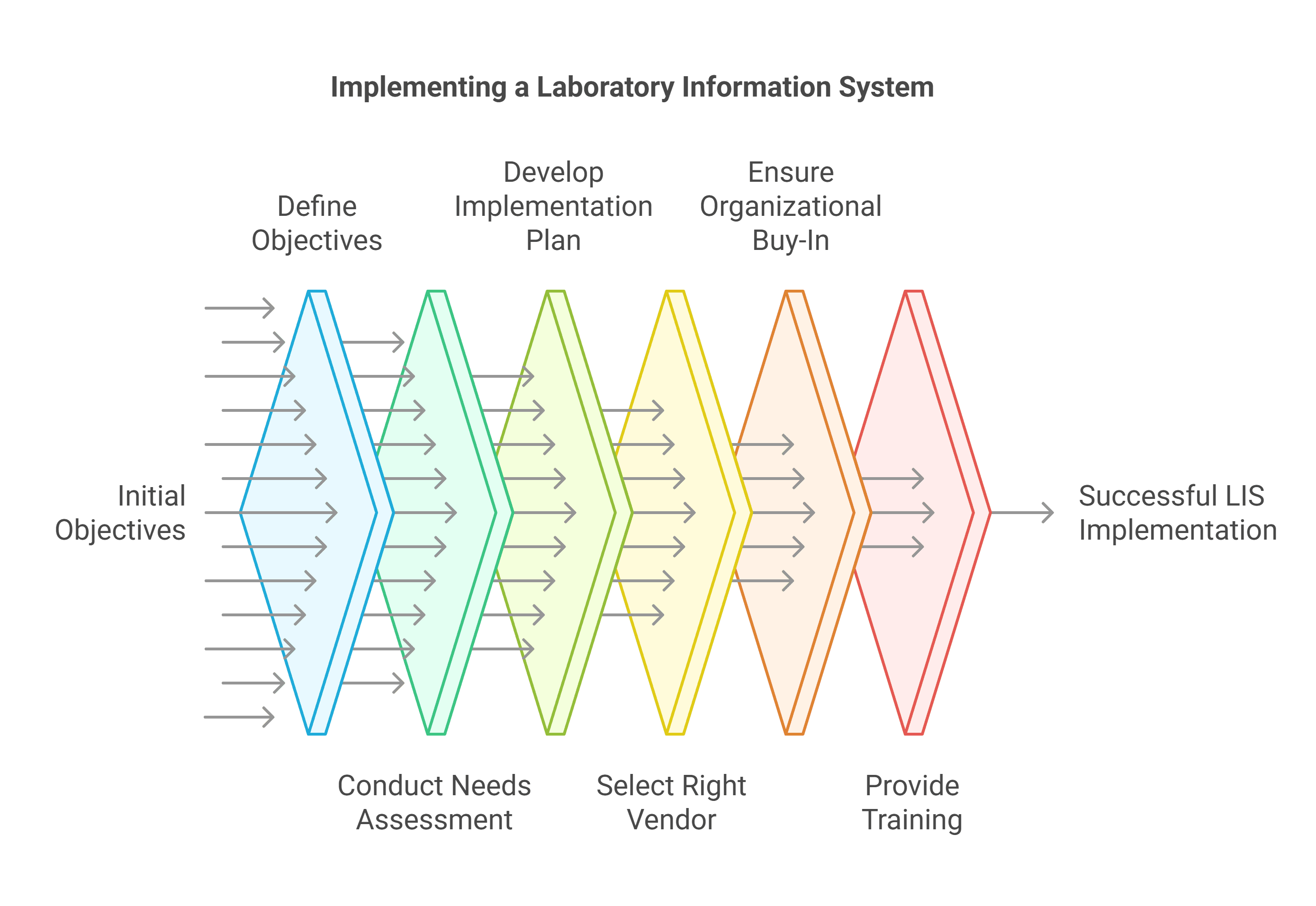 Implementing a Laboratory Information System