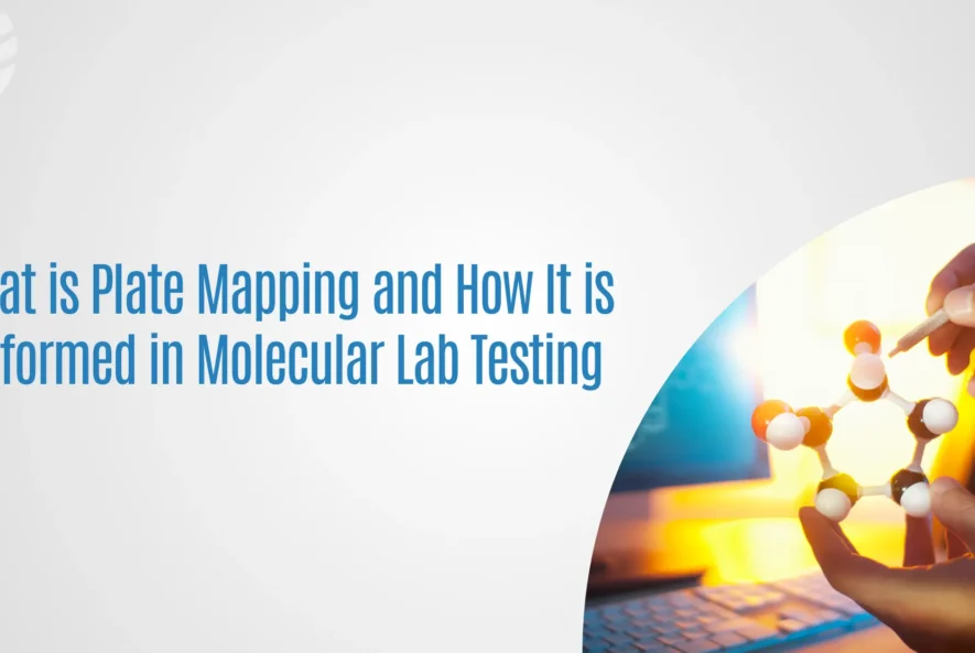 Molecular Lab Testing