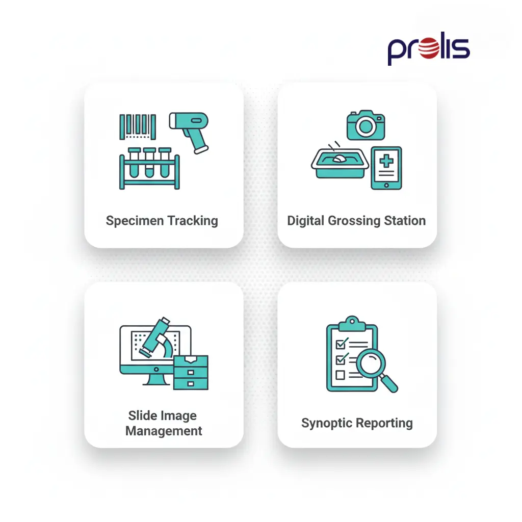 Anatomic Pathology Features