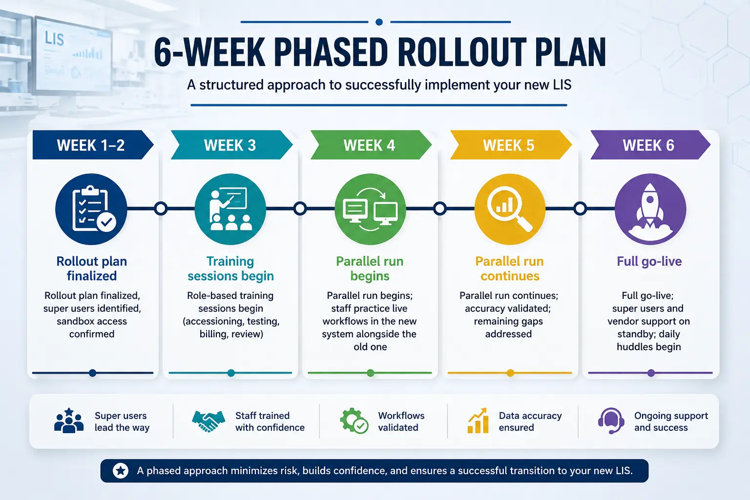 LIS training rollout timeline from pilot to go-live