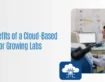 Hidden Benefits of a Cloud-Based LIS for Growing Labs